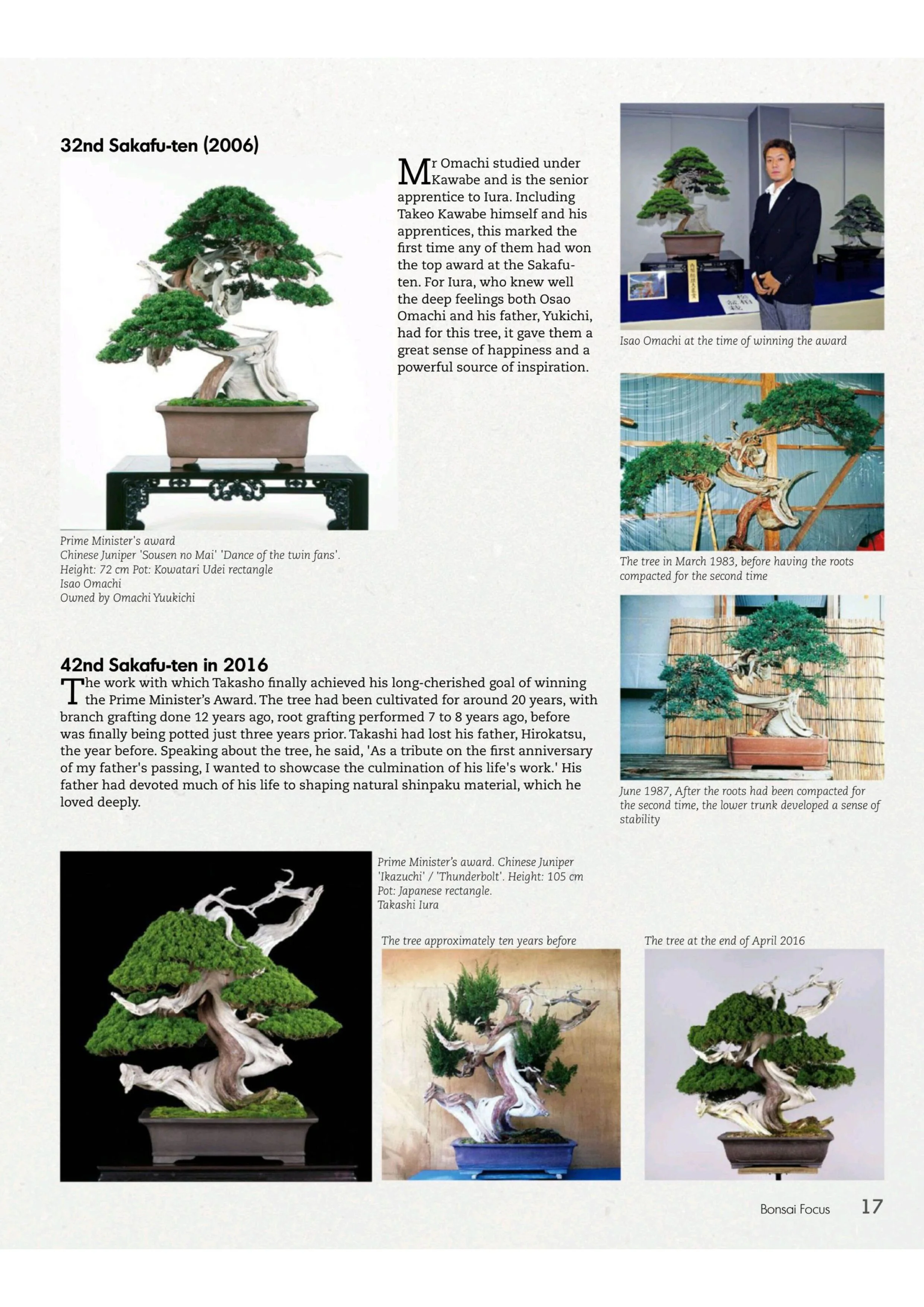 Bonsai Focus – July/August 2025 Magazine Digital - Image 3