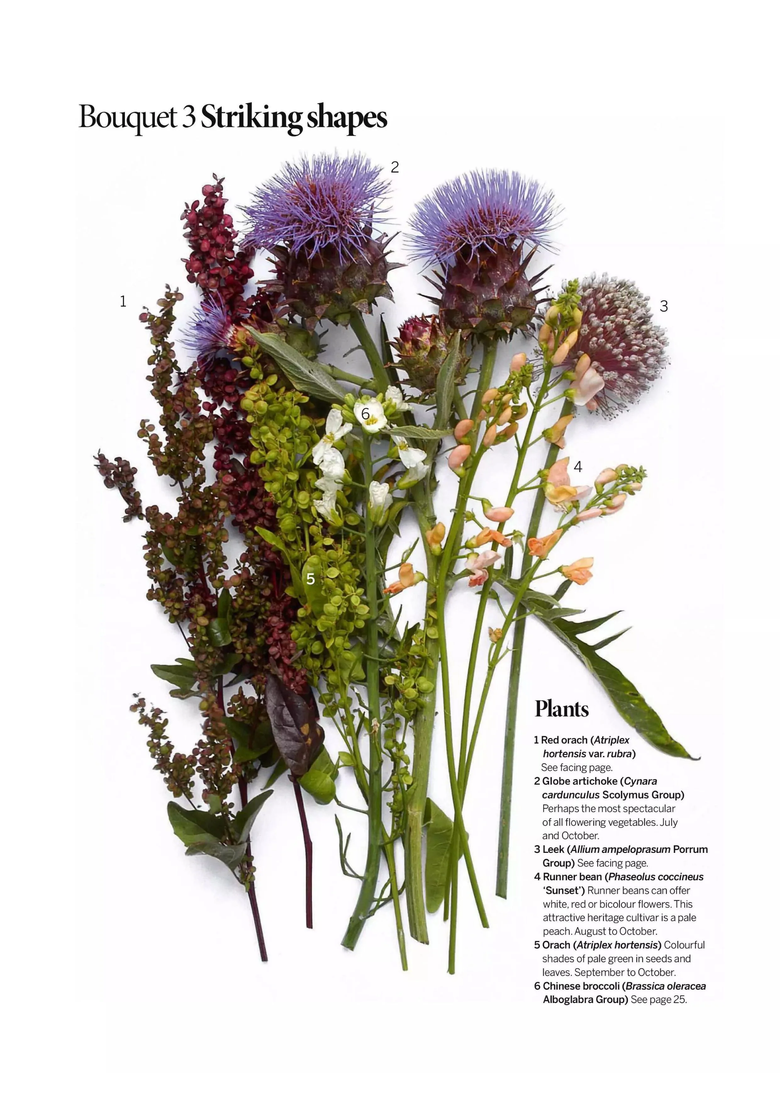 Gardens Illustrated Specials – A year In Edible Garden, 2025 Magazine Digital - Image 3