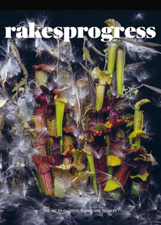 Rakesprogress - Issue 18 Magazine