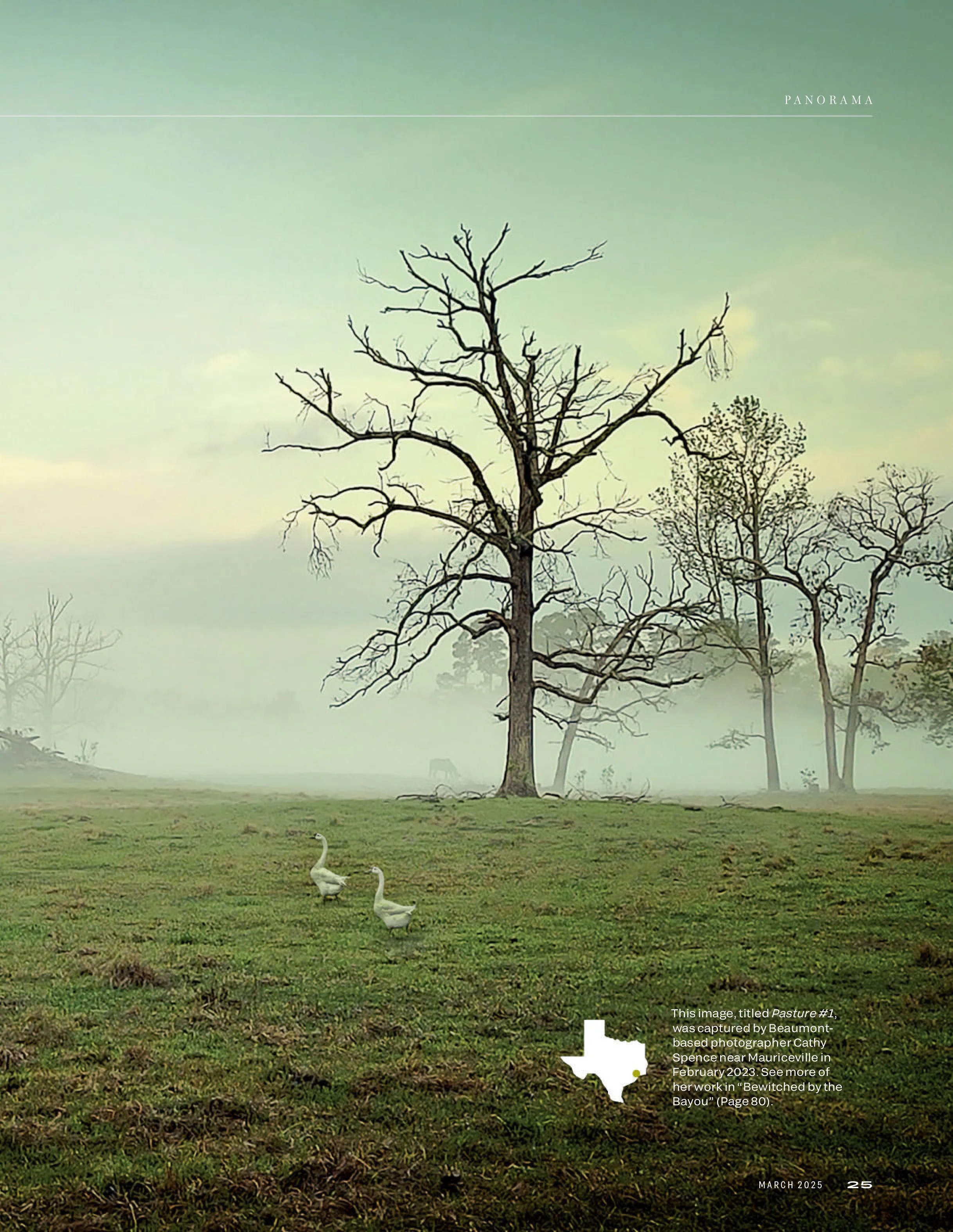Texas Highways Magazine – March 2025 Digital - Image 3