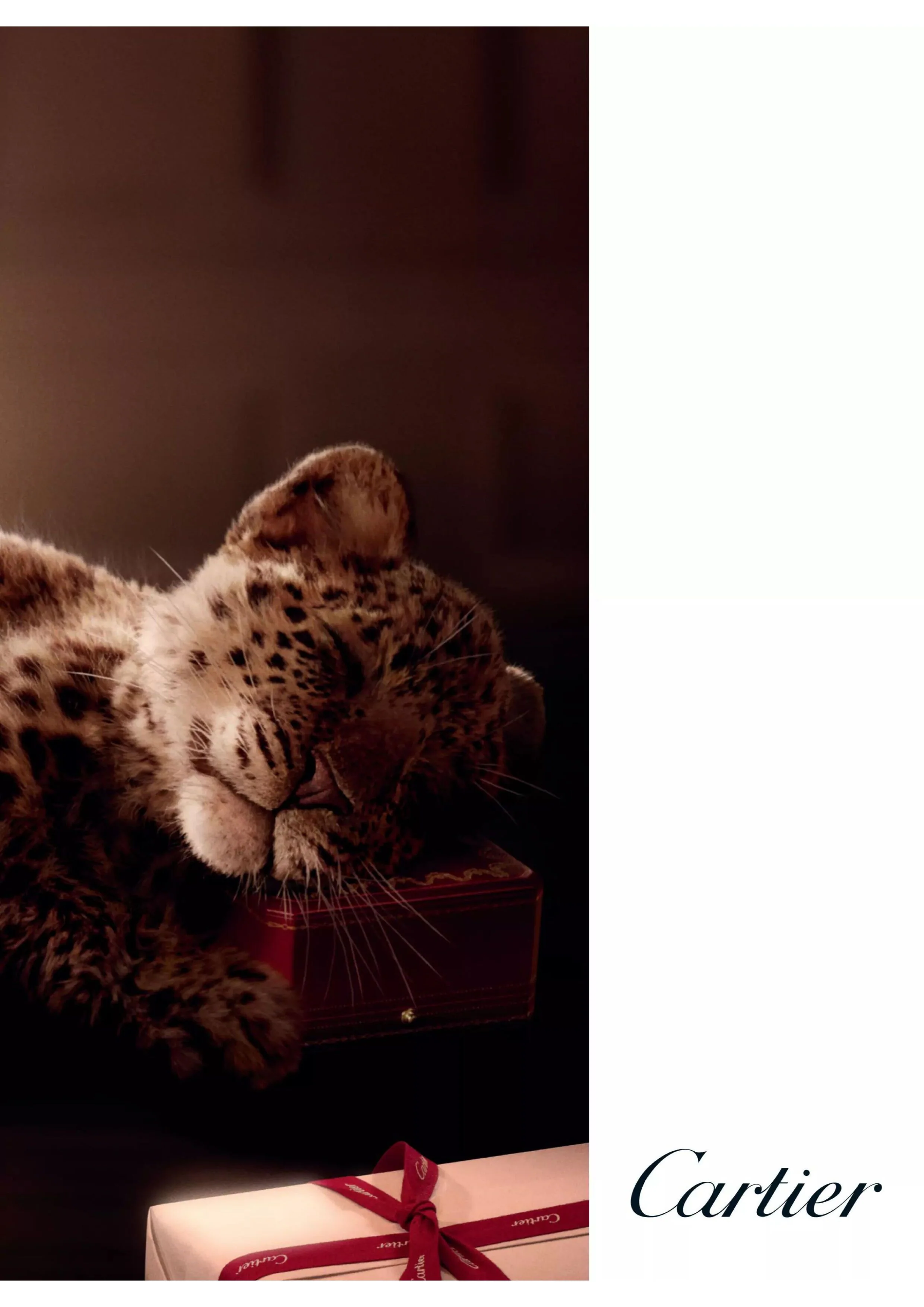 Vogue UK – December 2025 Magazine Digital - Image 2