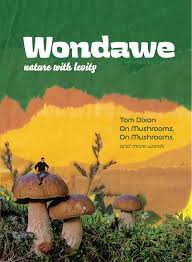 Wondawe Magazine - Image 2